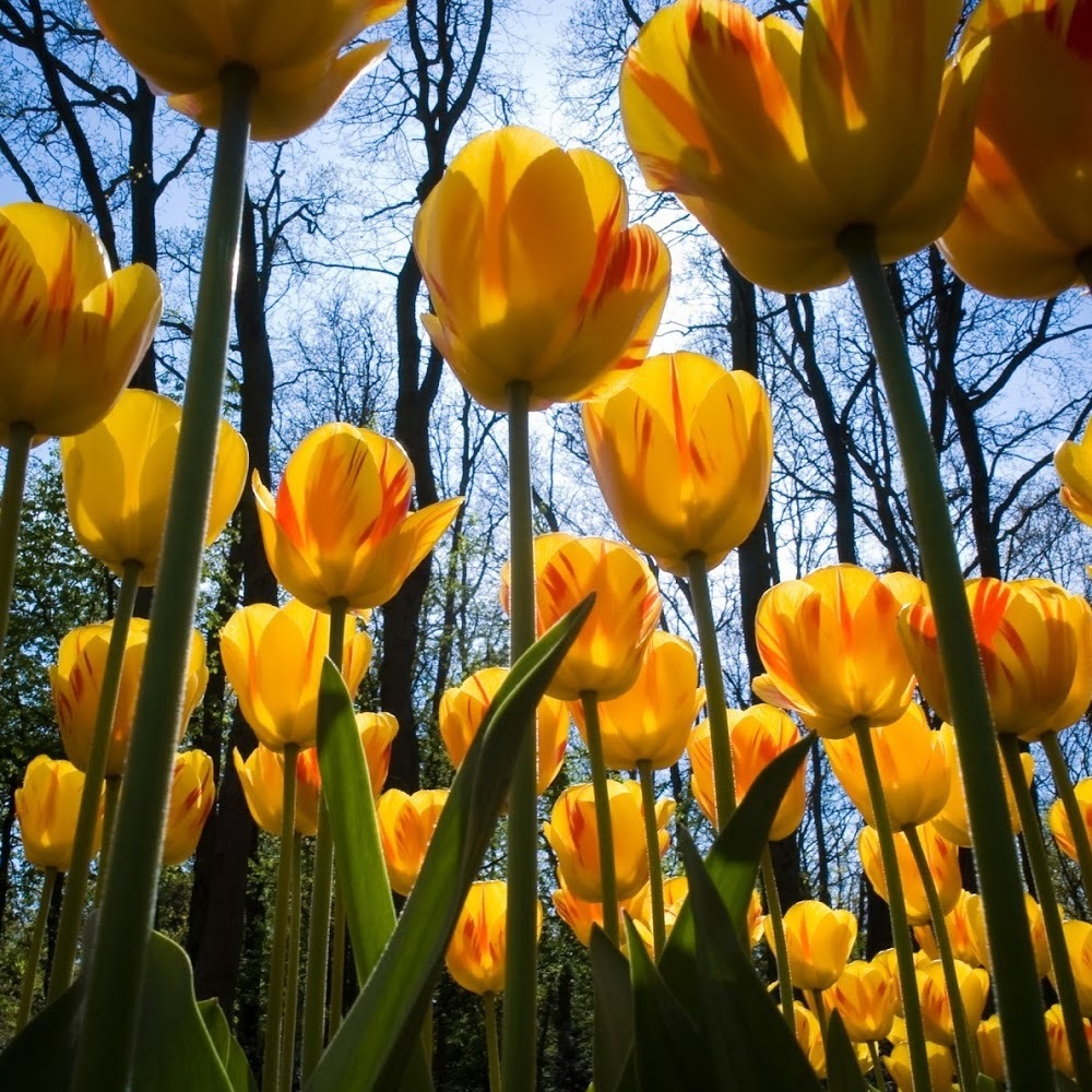 Meet your Posher, Page